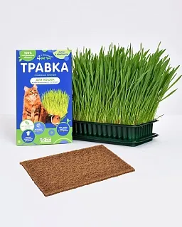 FOUR WITH A TAIL® GRASS FOR CATS AND OTHER PETS: description, application, buy at manufacturer's price